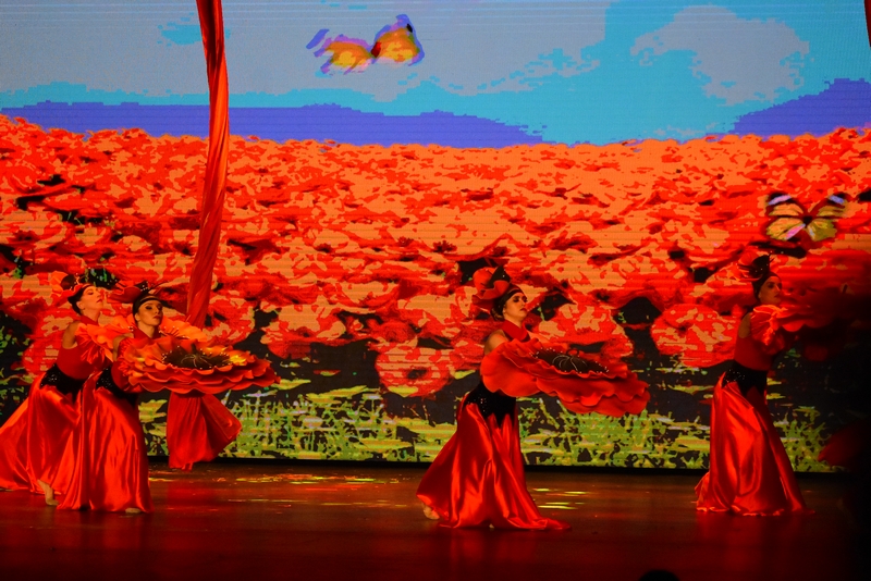 Wizard Of Oz at Casino Du Liban 